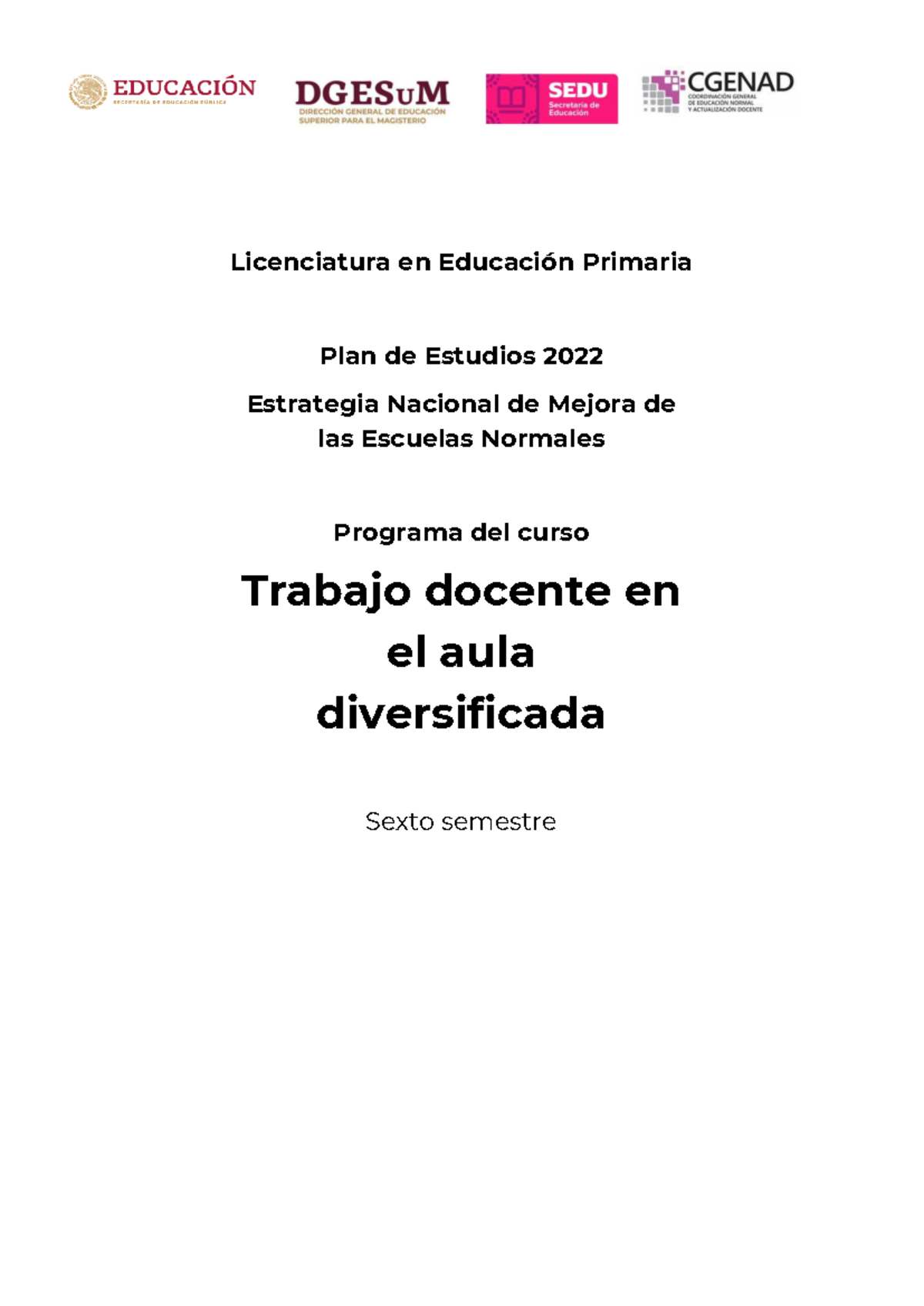 06 Trabajo Docente en Aula Diversificada - Lic. en Educación Primaria - Document Preview