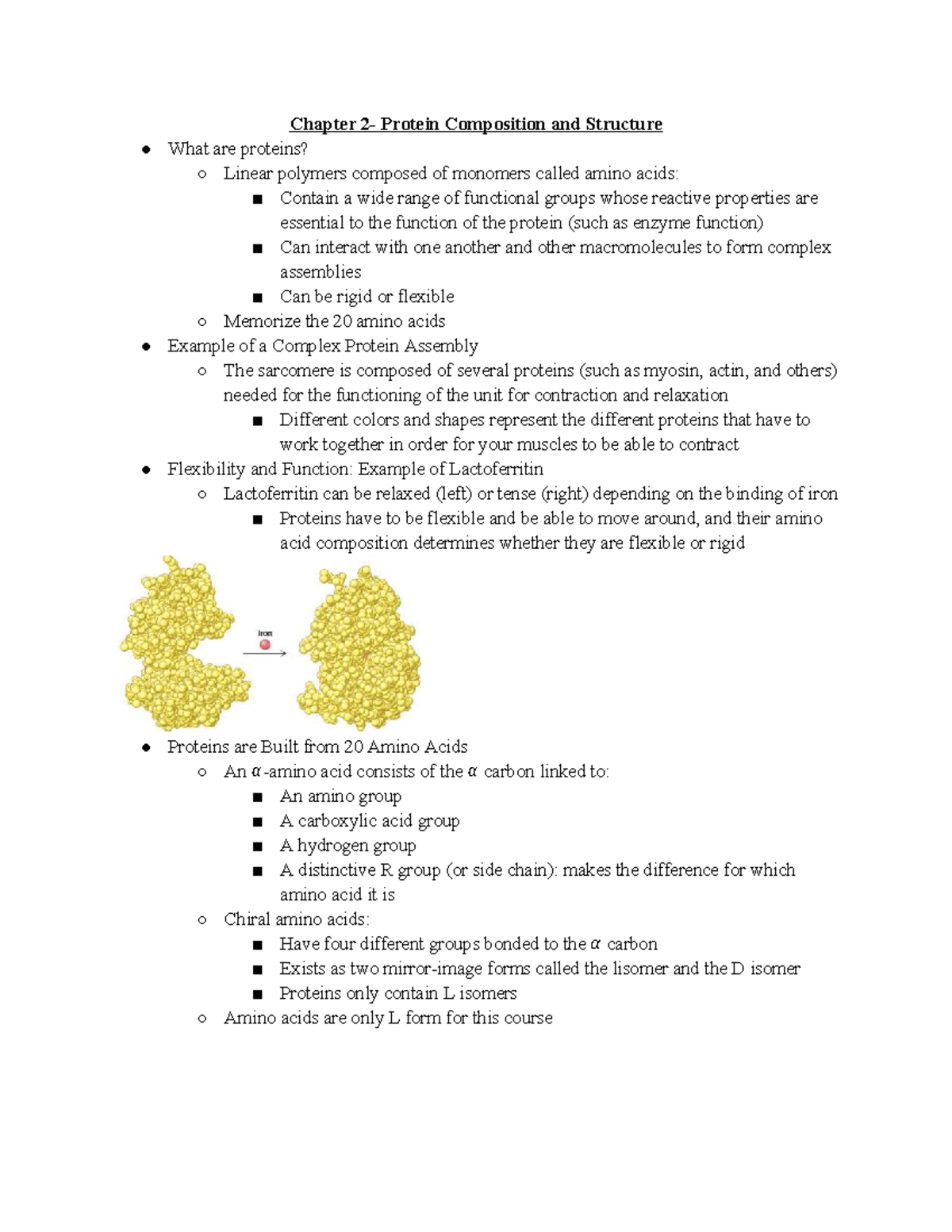 Chapter 2: Protein Composition and Structure Overview - Studocu