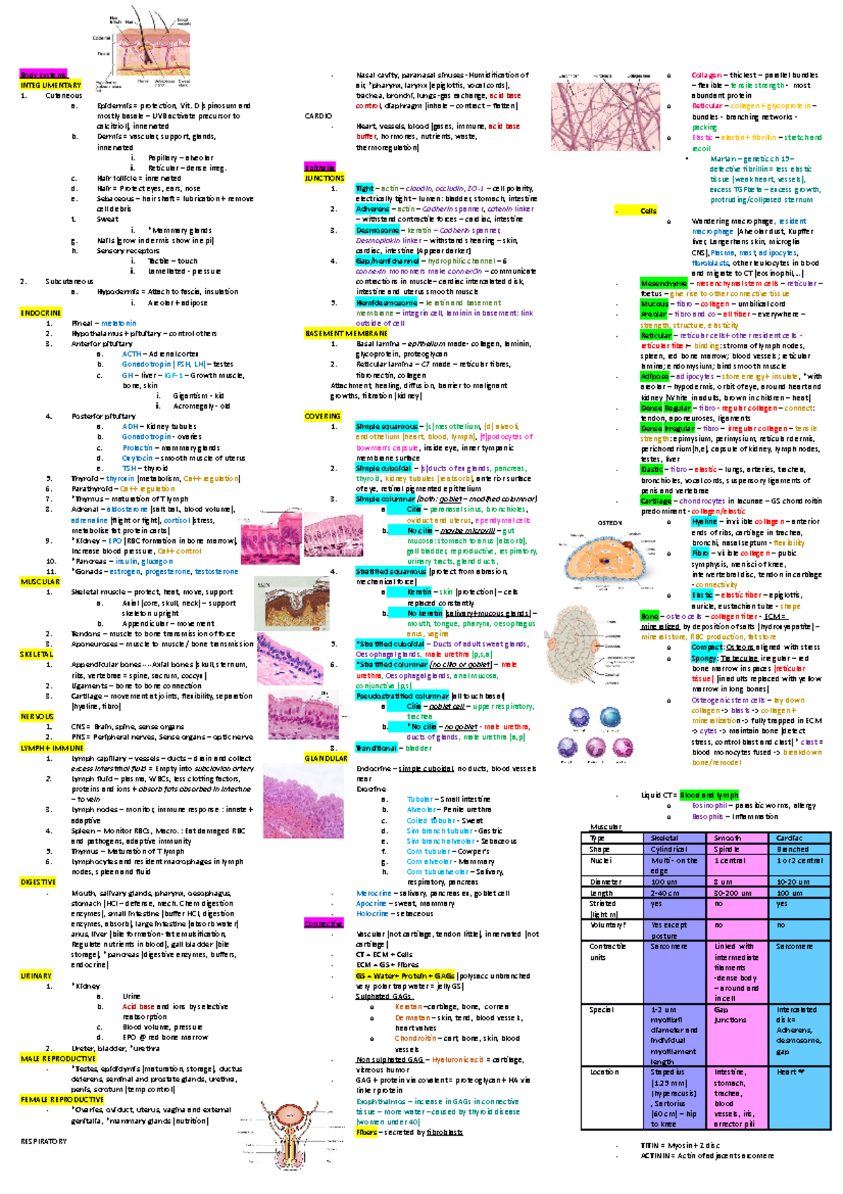 BIOSCI 107 Mid-Semester Test Study Guide: Body Systems Overview - Studocu