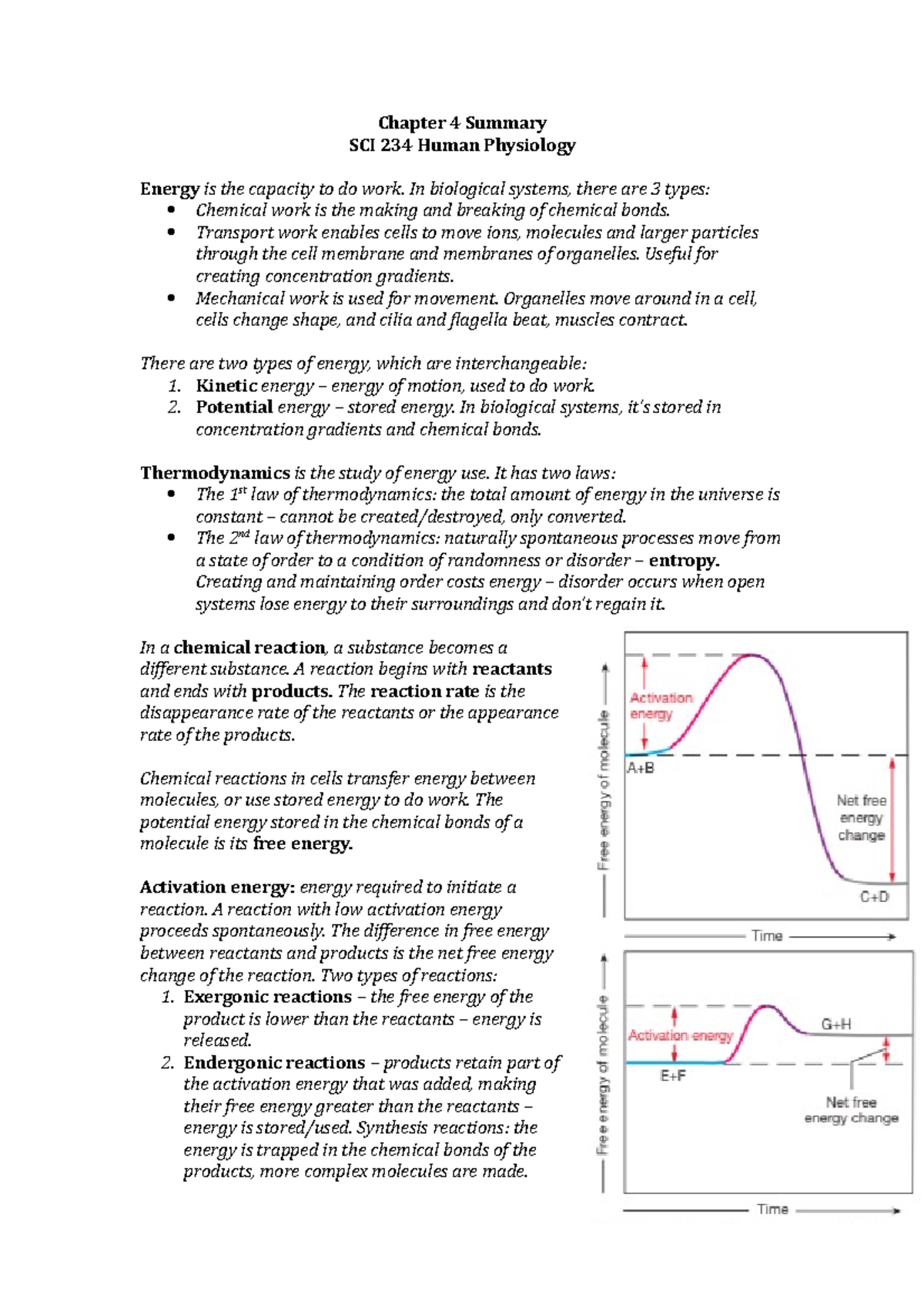 Chapter 4 Summary - Energy and Metabolism in SCI 234 - Studeersnel