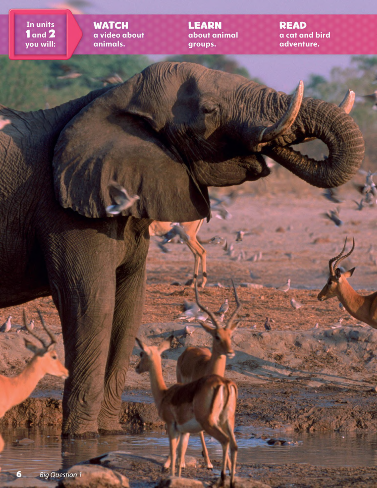 Unit 1: Comparing and Contrasting Animal Groups in Life Science - Studocu