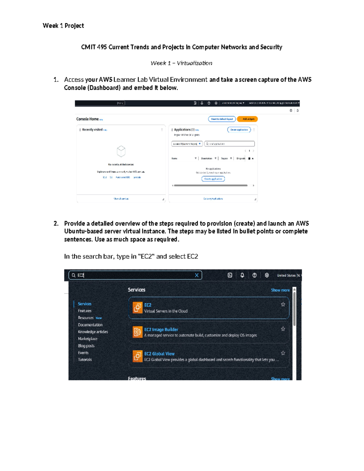 Week 1 Project CMIT 495: Exploring AWS Virtualization and Server ...