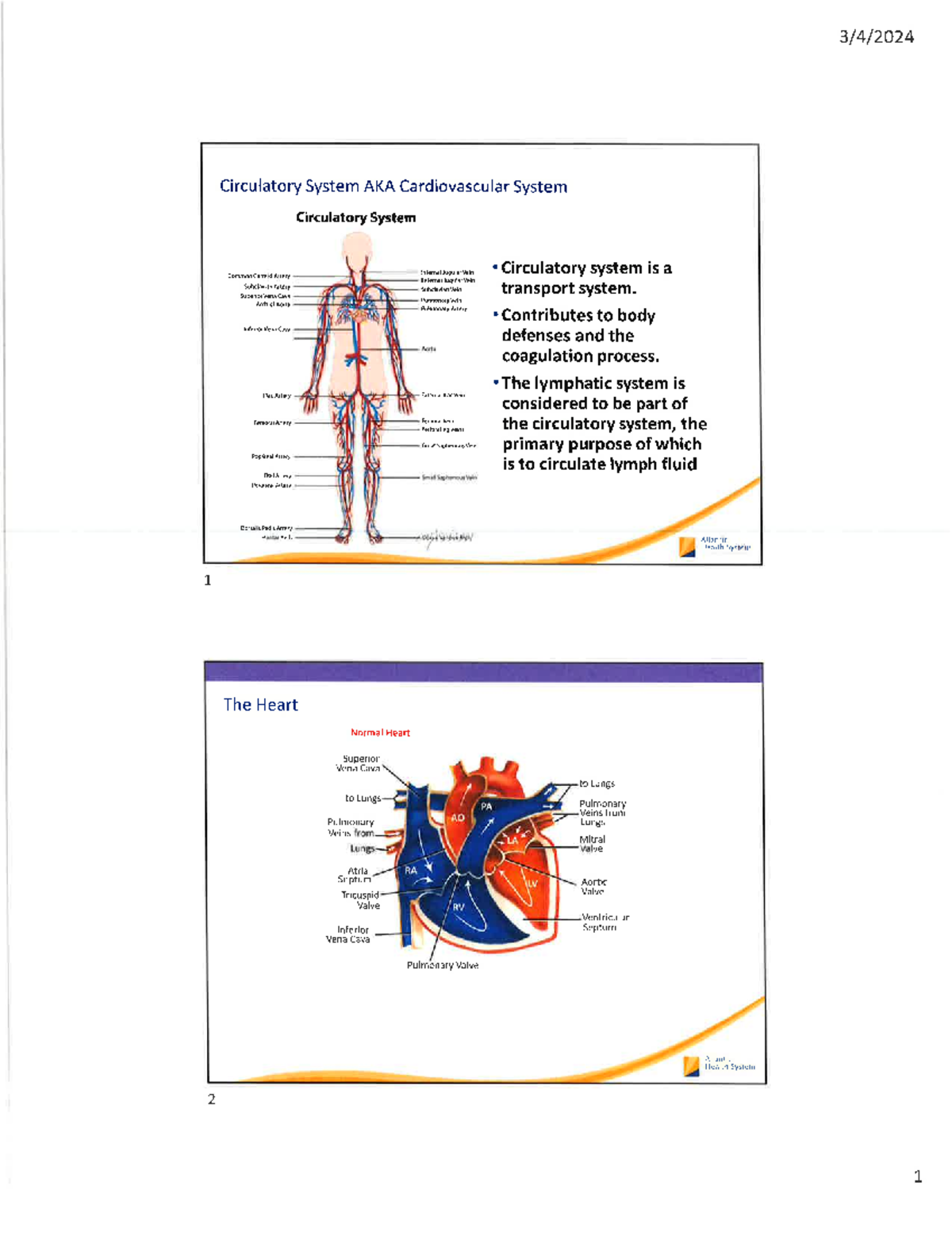 RN and PCT Phlebotomy Lecture: Circulatory System Overview - Studocu