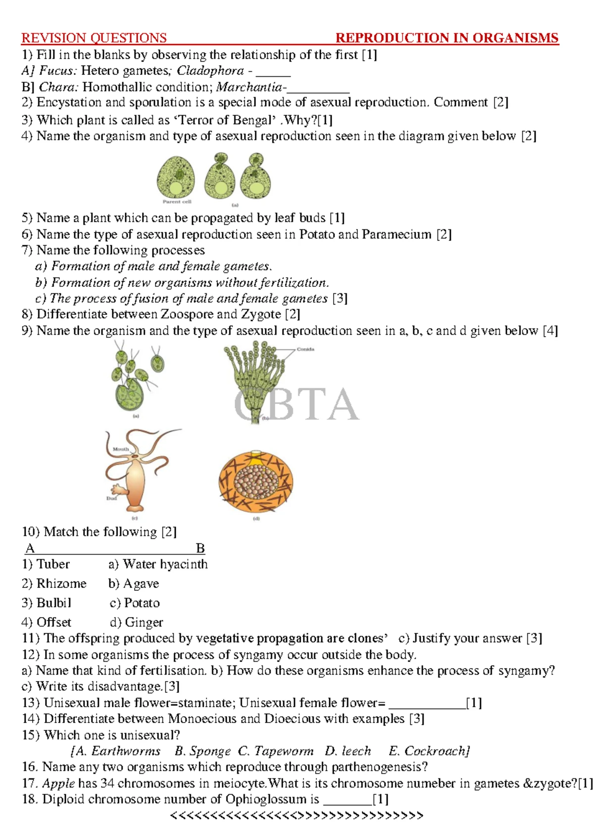 Chapter 1-Summary & MCQ - Chapter 1 Introduction to Business Economics ...