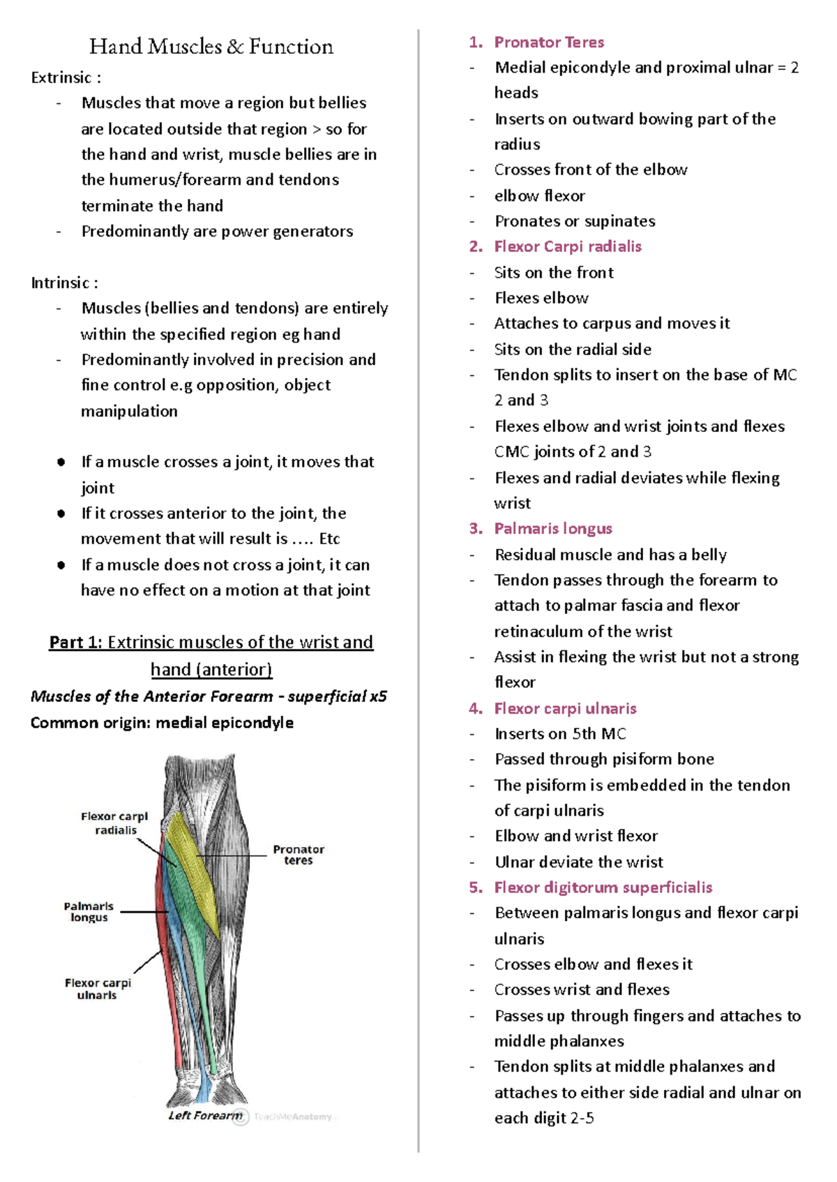 BIOS1168 FMA Wk 9 - Overview of Hand Muscles & Their Functions - Studocu