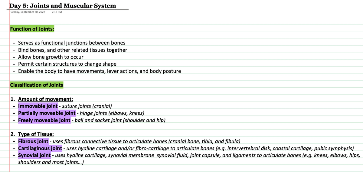 Intro to Joints and Muscular System - Day 5: Joints and Muscular System ...
