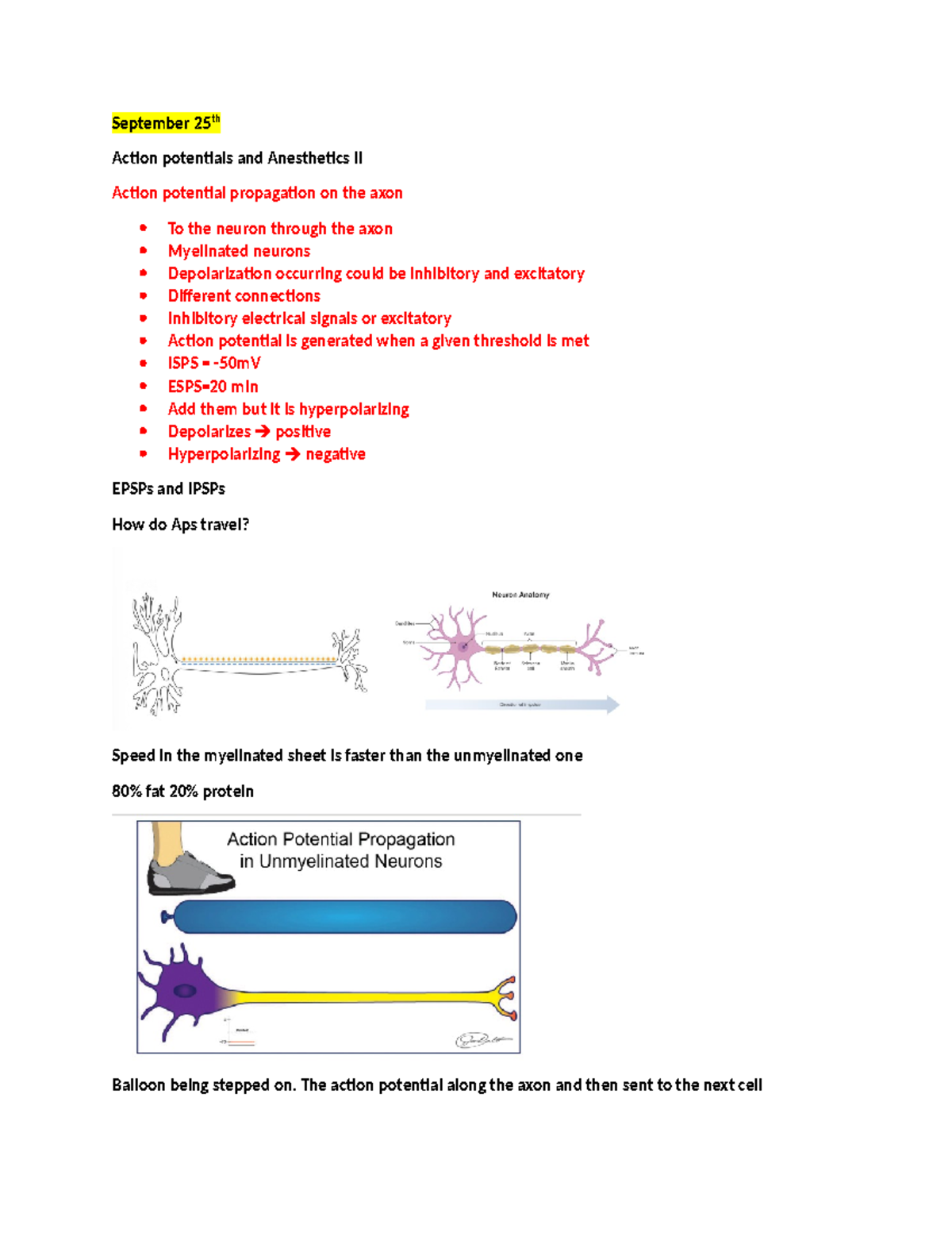 Week 3 Lecture Notes - Action Potentials & Anesthetics - Studocu
