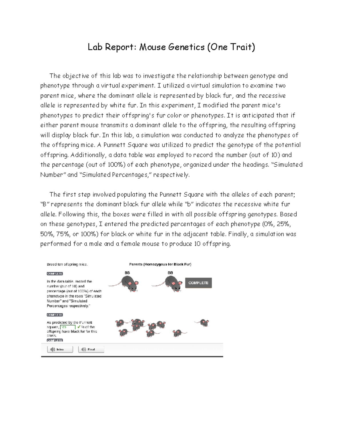 Lab Report: Genetics of Mouse Fur Color (One Trait Analysis) - Studocu