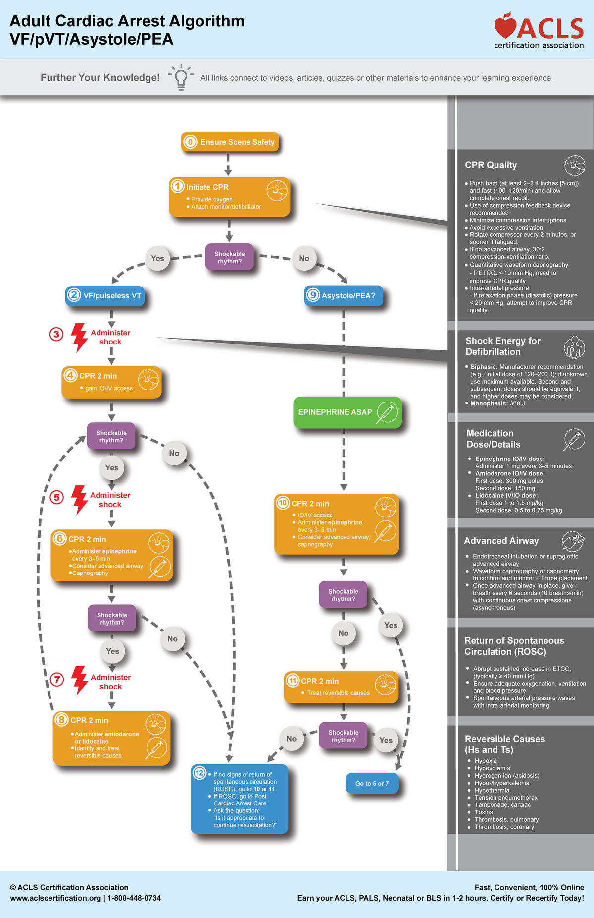 ACLS Adult Cardiac Arrest Algorithm: Enhance Your Knowledge! - Studocu