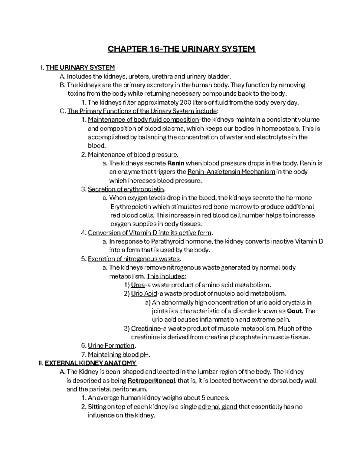 Final Exam Study Guide: Urinary System Overview (BIO 101) - Studocu