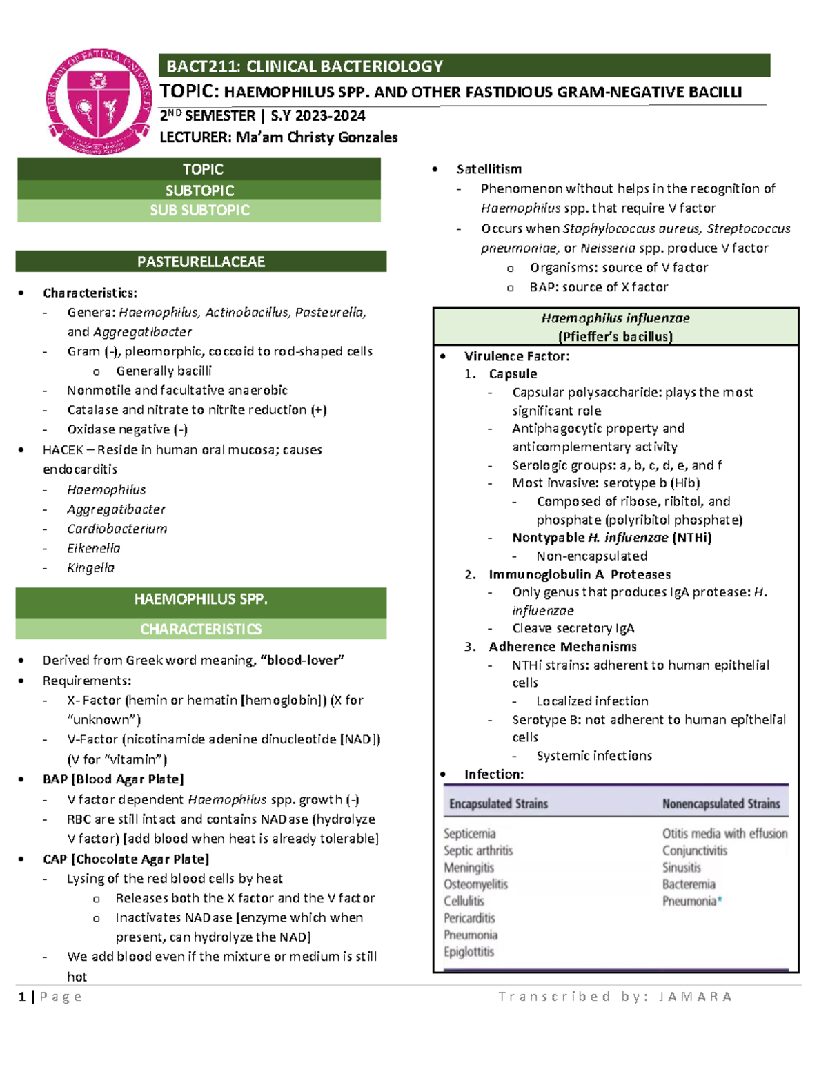 BACT211: Clinical Bacteriology - Haemophilus Spp. & Fastidious Bacilli ...