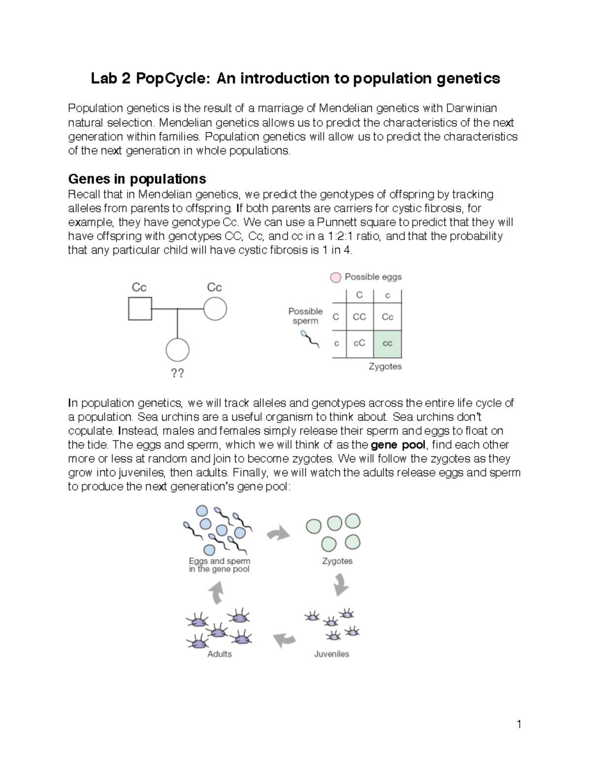 Lab 2: Intro to Population Genetics with PopCycle Simulation - Studocu