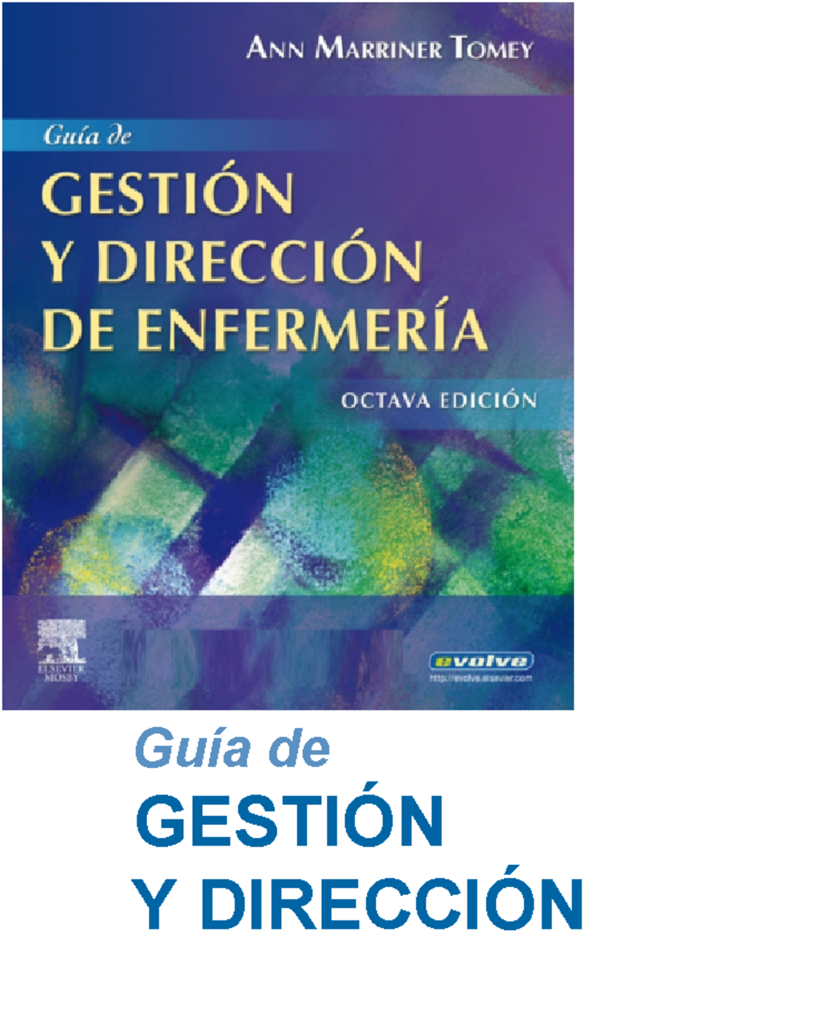 Guía de Gestión y Dirección de Enfermería - 8va Edición - Ann Marriner Tomey - Document Preview