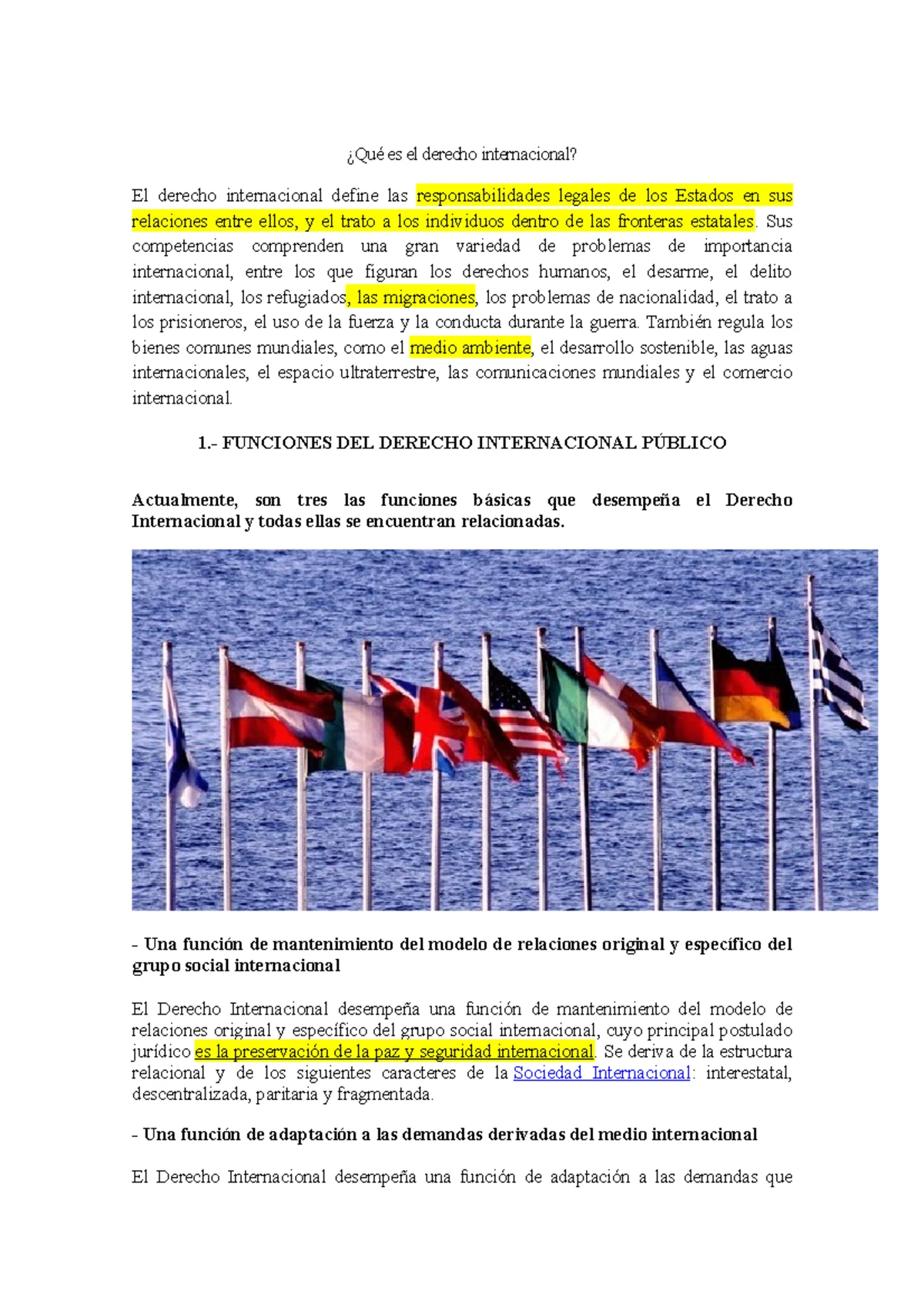 Informe sobre la Sociedad de las Naciones - Derecho Internacional 2024 ...