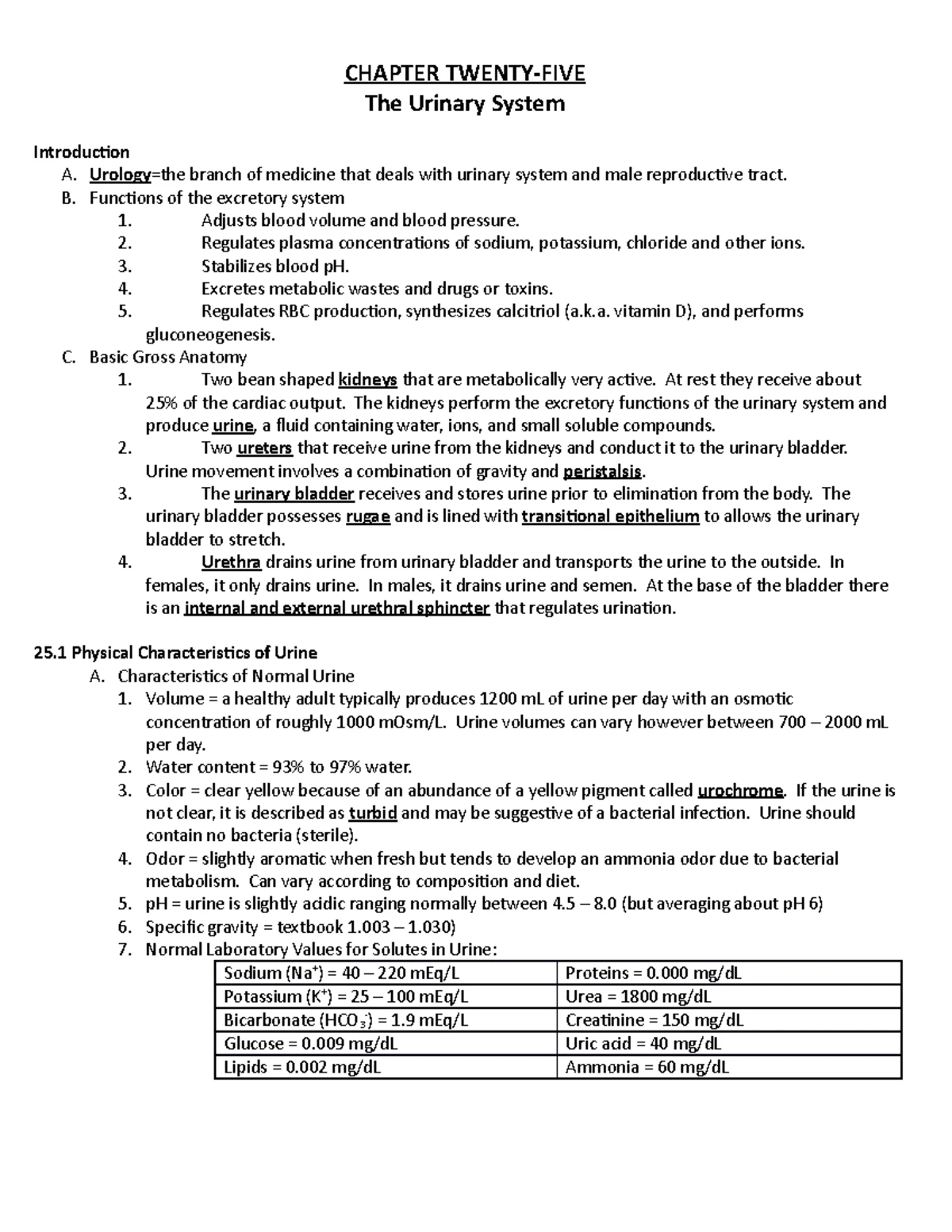 Urinary System Anatomy and Functions Review (BIO 101) - Urinary REVIEW ...