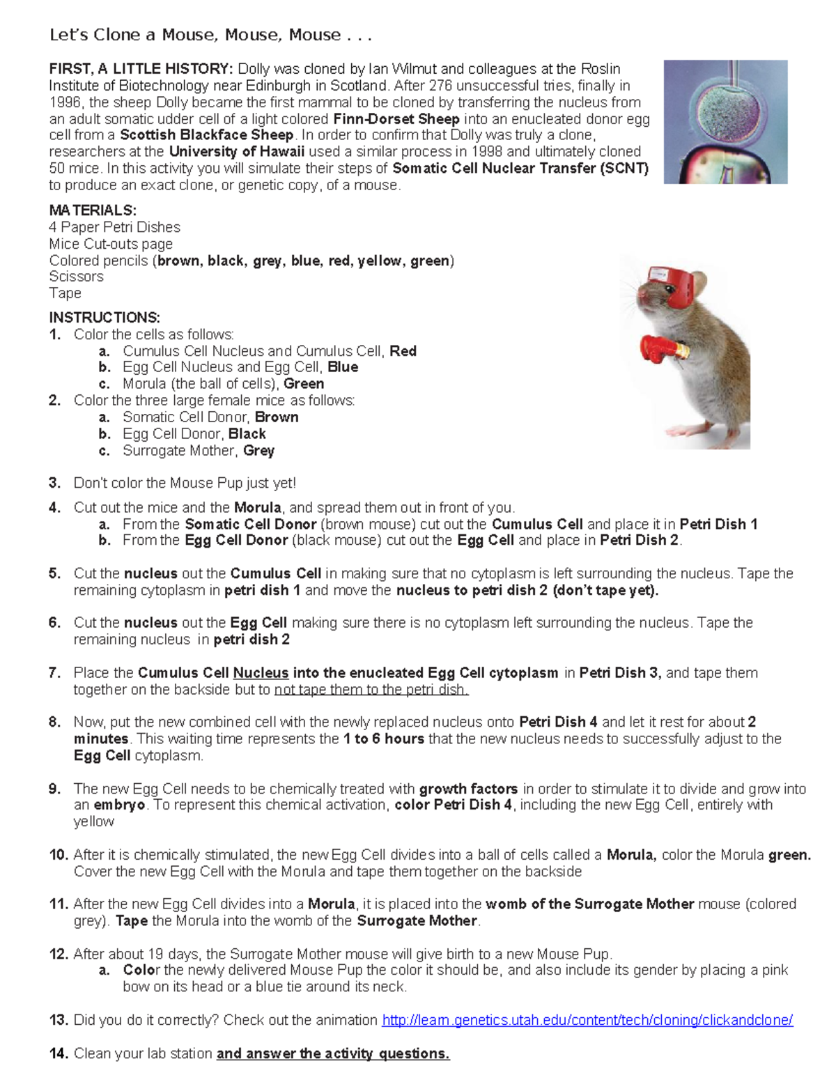 Activity: Let's Clone a Mouse - SCNT Simulation Guide - Studocu