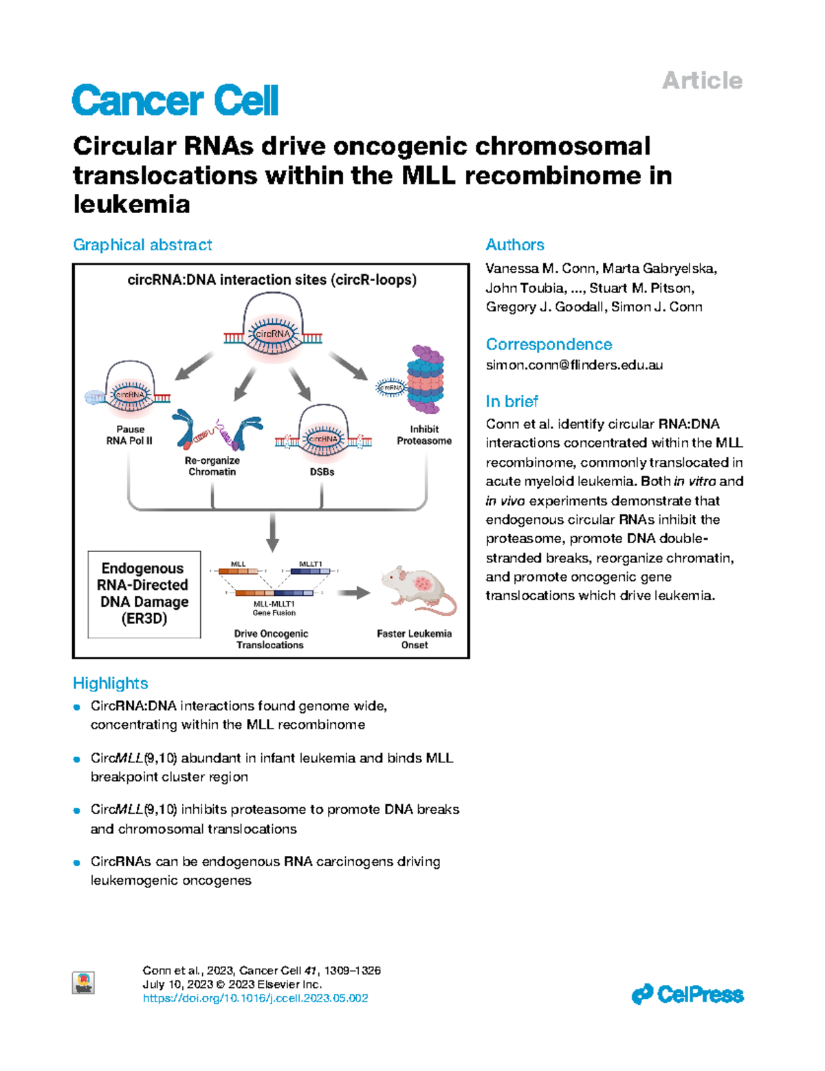 Circular RNAs as Drivers of Oncogenic Chromosomal Translocations in MLL ...