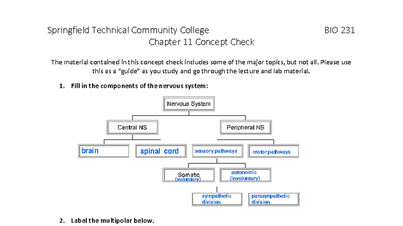 Chapter 11 Concept Check: Nervous System Overview BIO 231 - Studocu