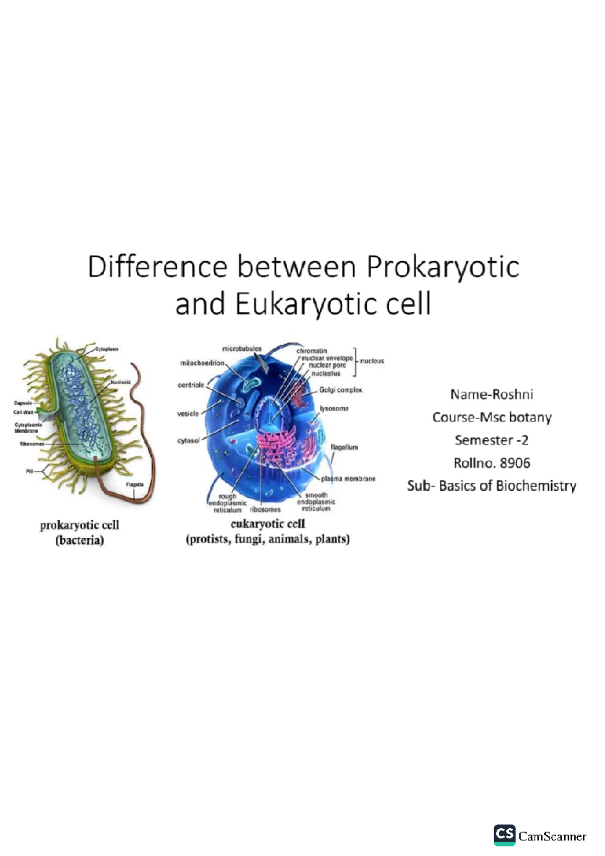 Difference between Prokaryotic and Eukaryotic cells - 8906 Pill plasma ...