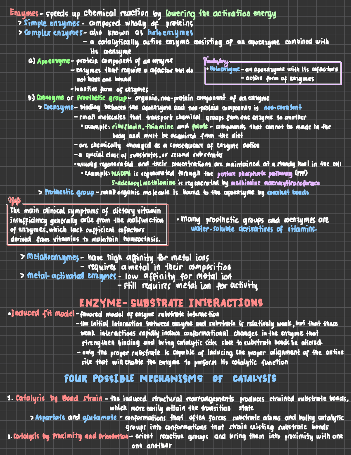 Introduction to Enzymology: Key Concepts and Mechanisms - Studocu
