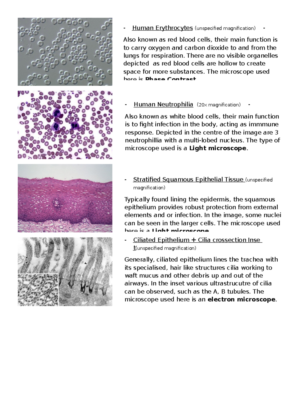 Different Types of Cells - Research Task - Microscope Images ...