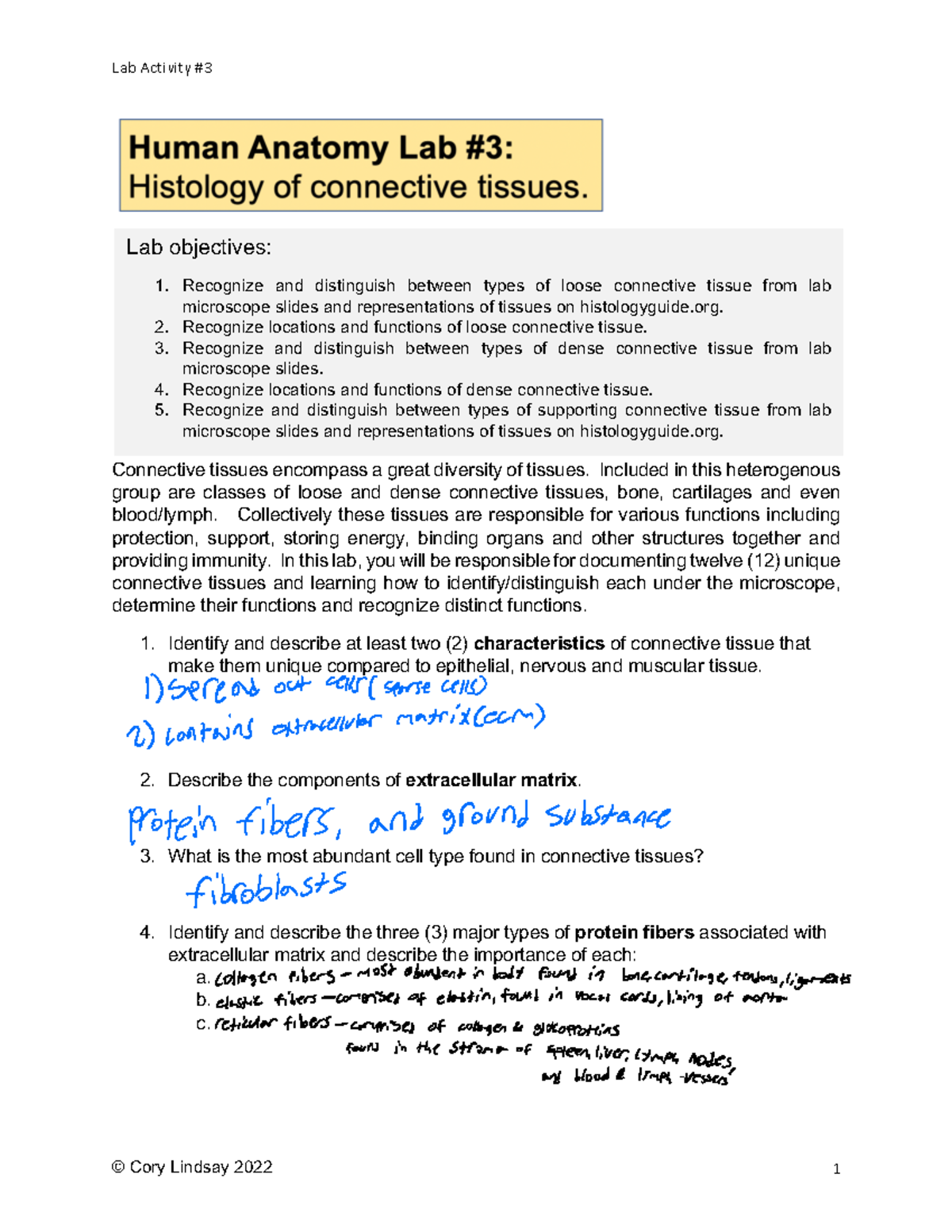 Lab Activity #3: Connective Tissues Identification - Studocu