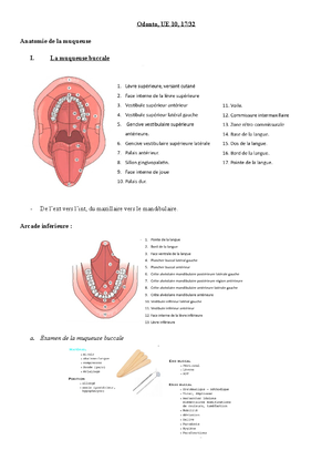 Histologie anat - CM - ANATOMIE Licence 1 PROF: despoix - Chapitre 3 ...