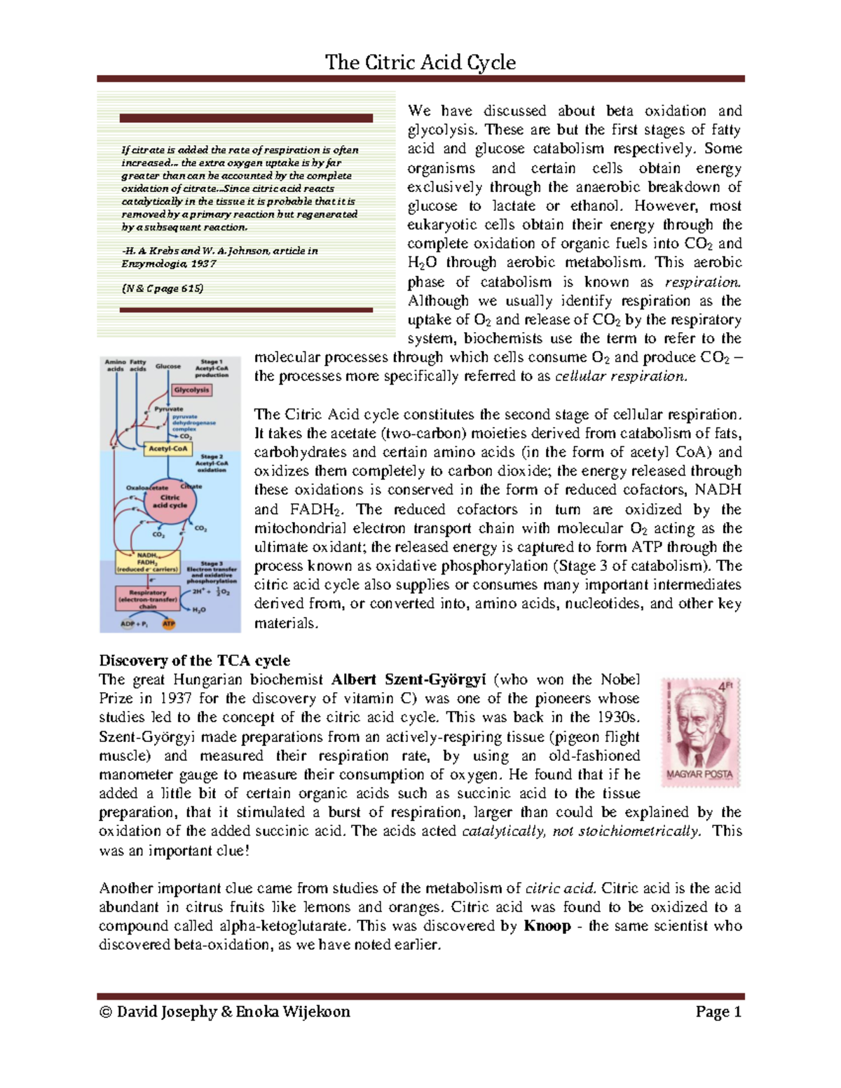 Citric Acid Cycle - We have discussed about beta oxidation and ...