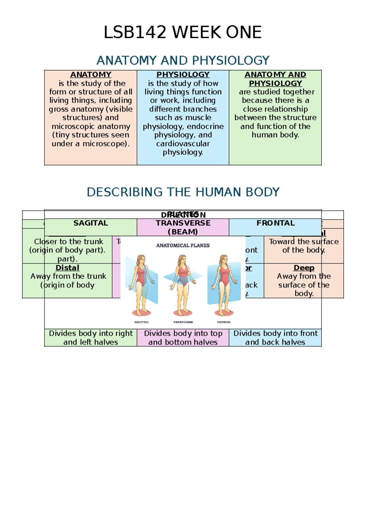 LSB142 Week 1 Lecture Notes: Anatomy and Physiology Overview - Studocu