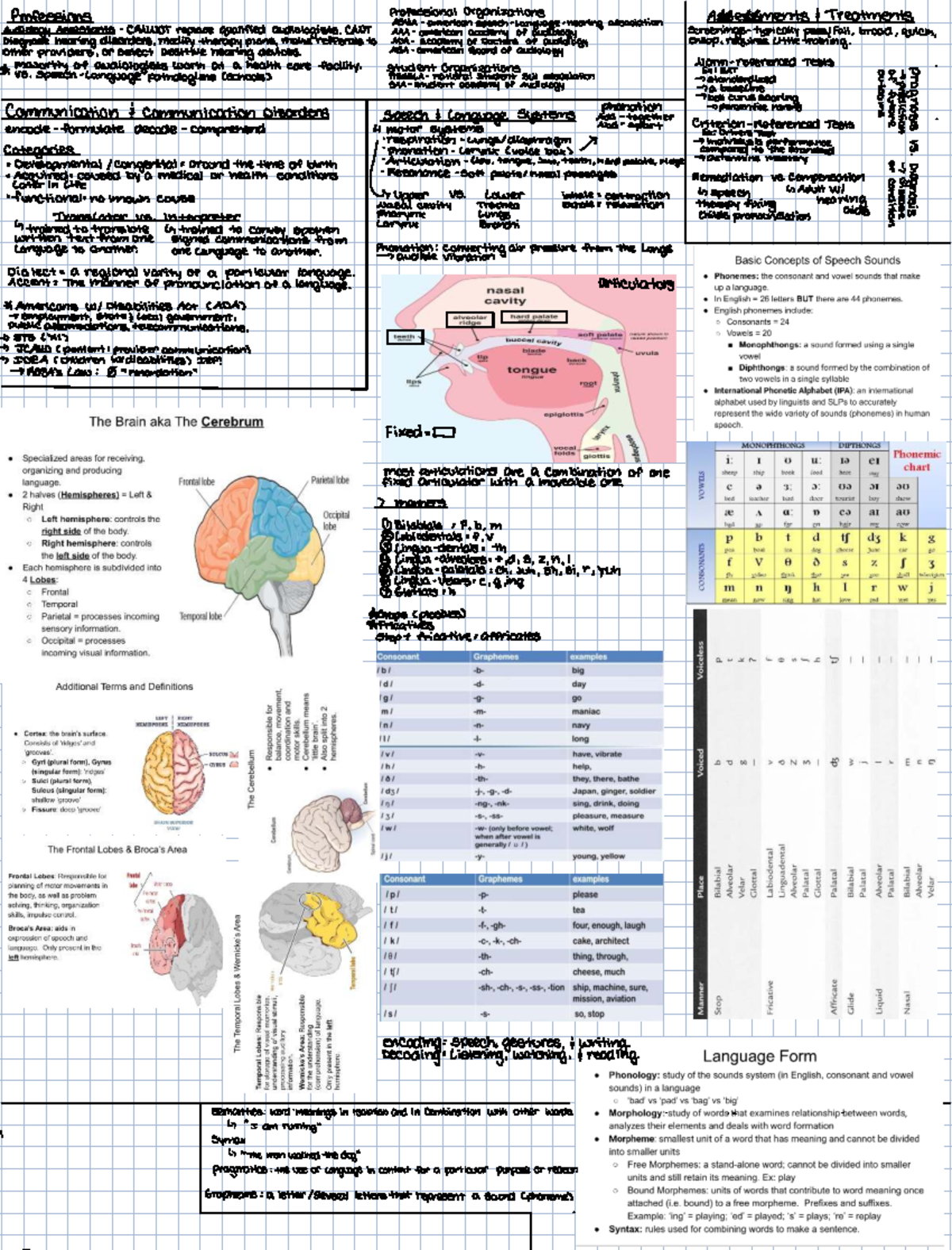 SLHS 101 Exam 1 Study Guide: Key Concepts in Audiology and Speech - Studocu