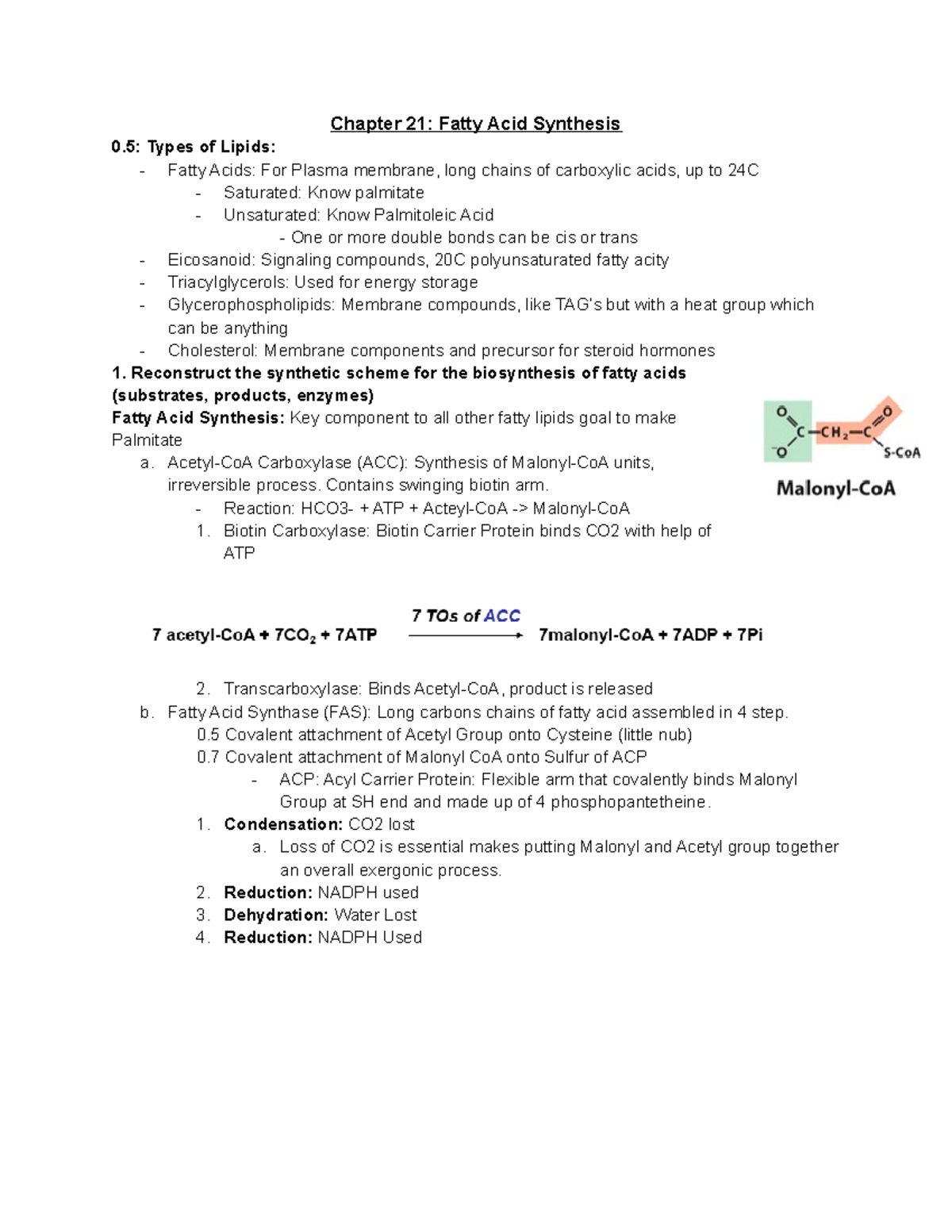 Chapter 21 - Summary - Chapter 21: Fatty Acid Synthesis 0: Types of ...