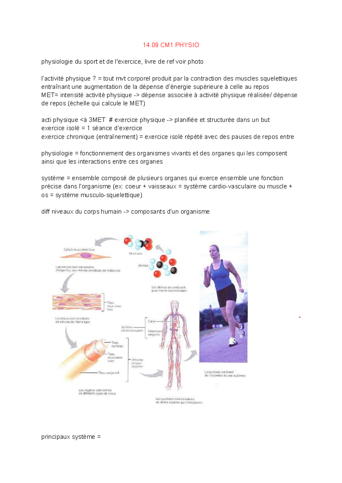 14.09 CM1 Physio - Cours de Physiologie du Sport STAPS Rennes - Studocu