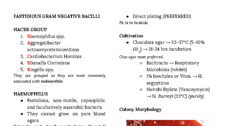 Fastidious Gram Negative Bacilli: Bacteriology Lab Notes 3F - Studocu