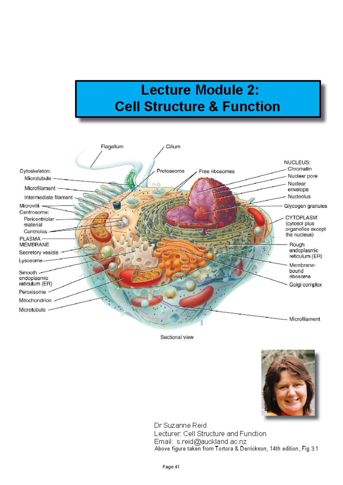02 Cell Structure and Function 2024 Biosci 107 - Dr Suzanne Reid ...
