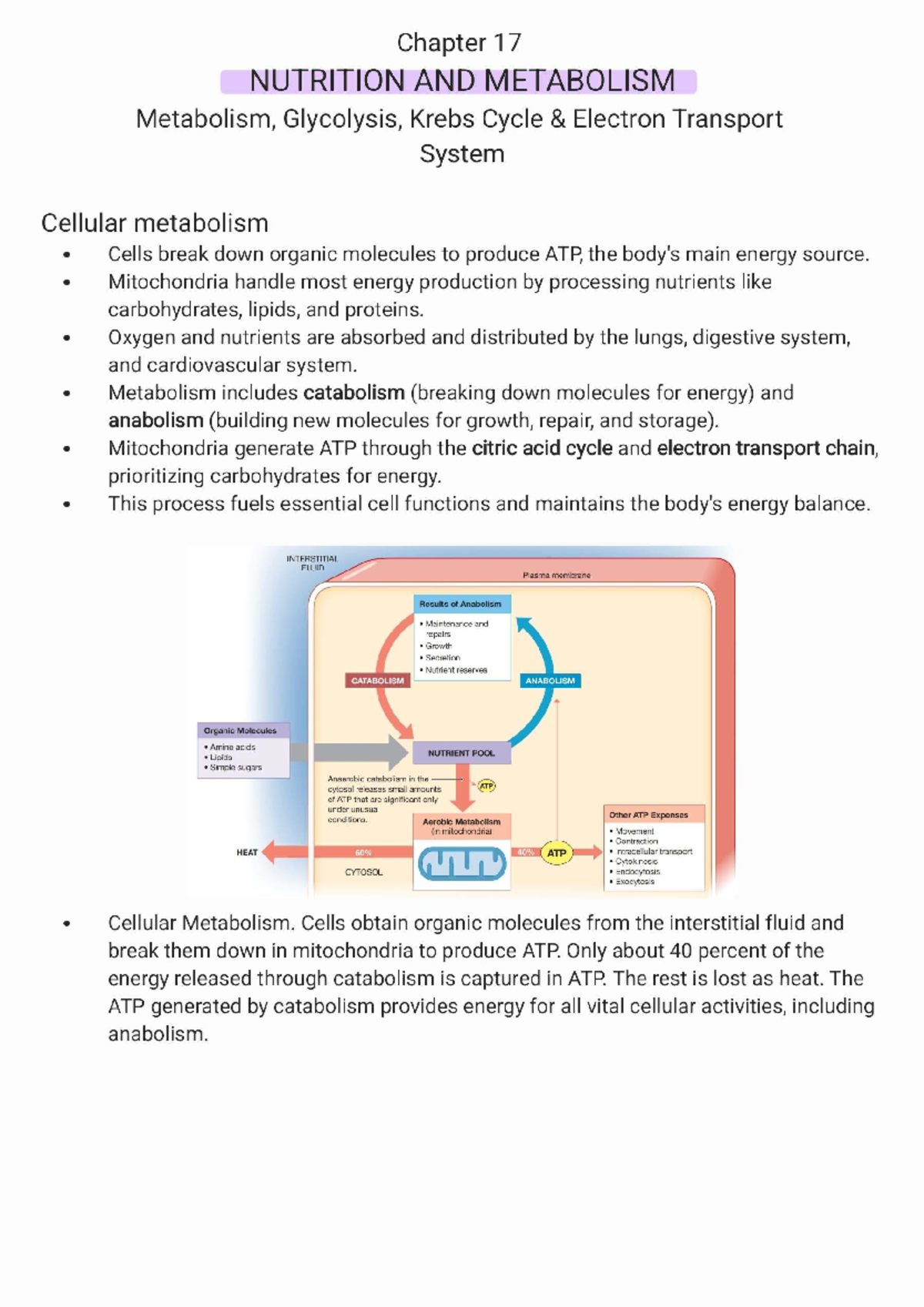 Chapter 17: Nutrition and Metabolism - ATP Production and Cellular ...