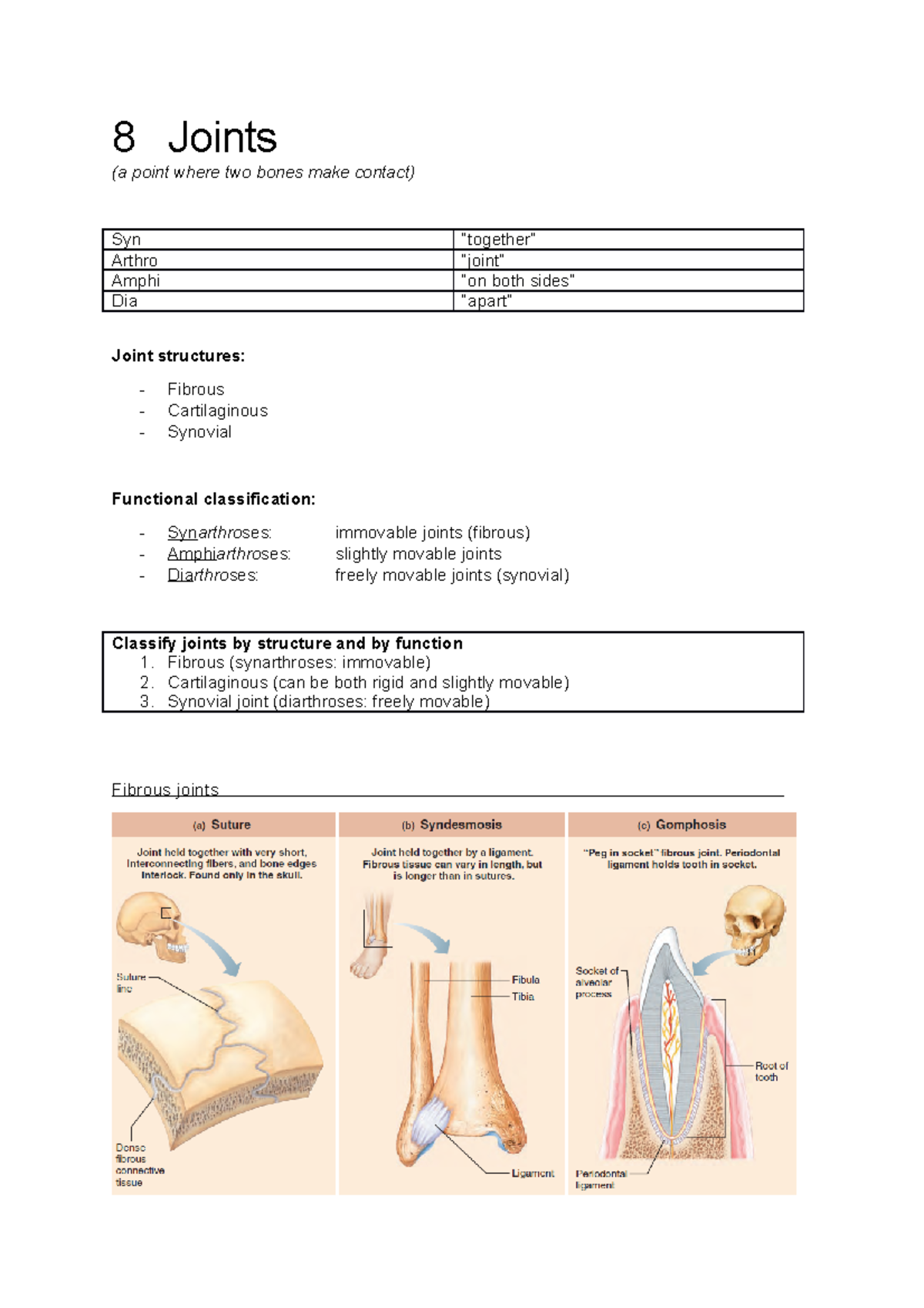 Chapter 8 joints - Human Anatomy & Physiology - 8 Joints (a point where ...