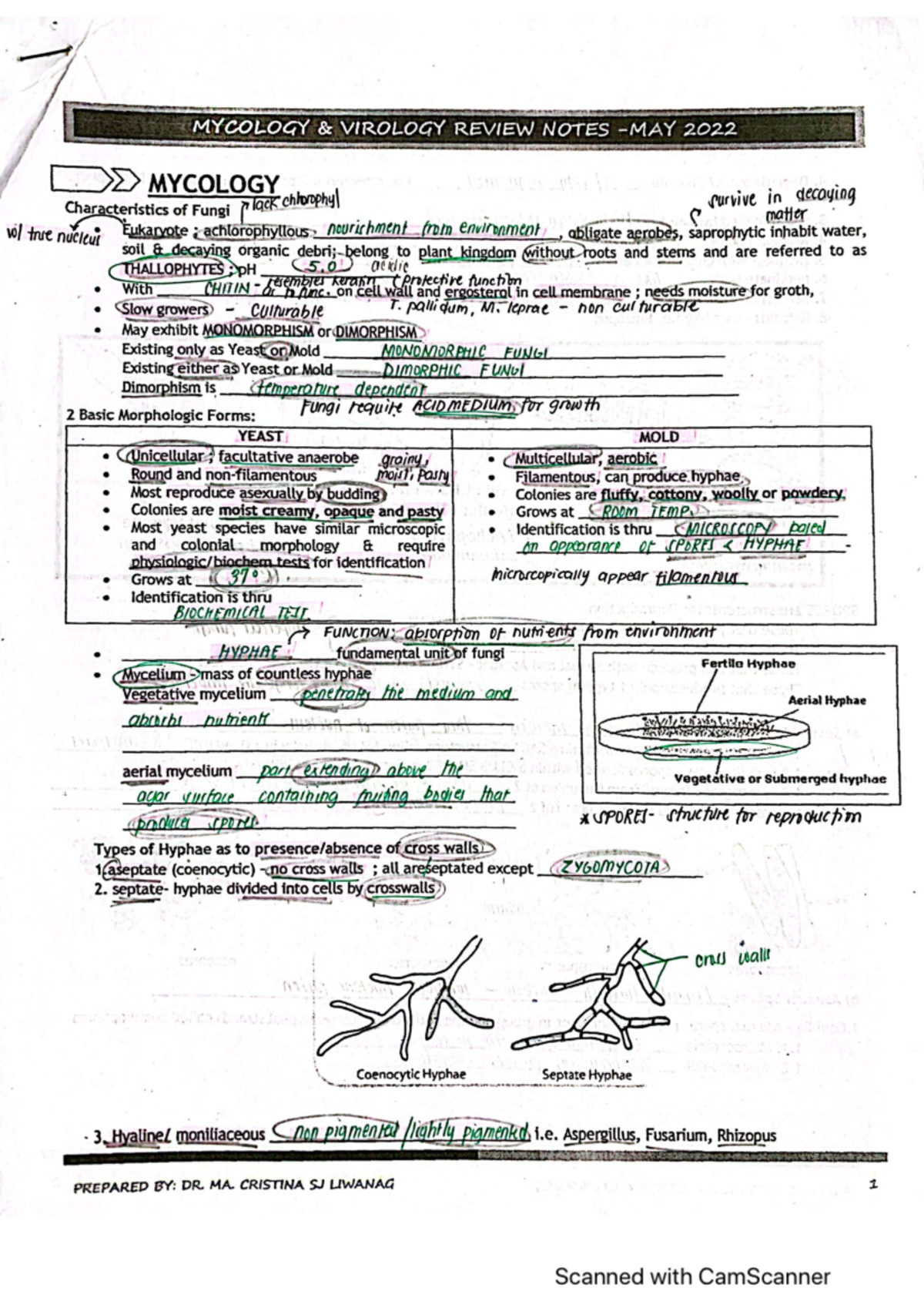MYCO 2022: Comprehensive Review Notes on Mycology and Virology - Studocu