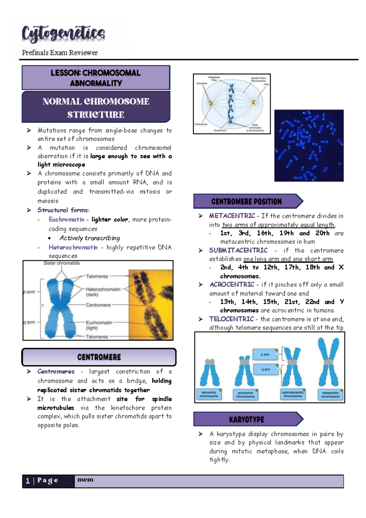 Cytogenetics 101: Prefinals Exam Reviewer on Chromosomal Abnormalities ...