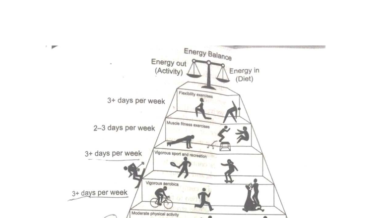 P.E9 - Lesson 2: Understanding the Physical Activity Pyramid - Studocu