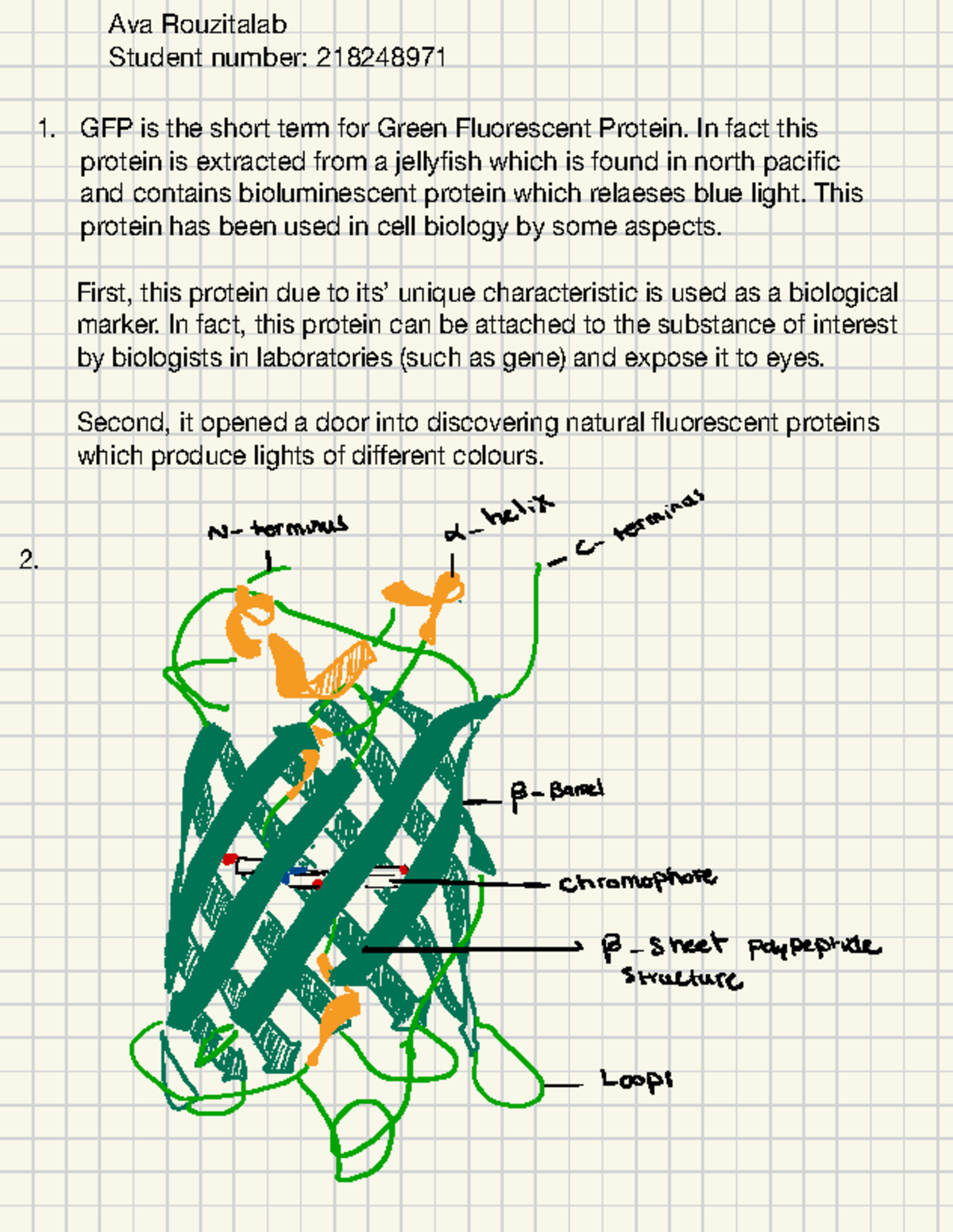 Gfp 2 - Gfp2 details - BIO101 - Studocu