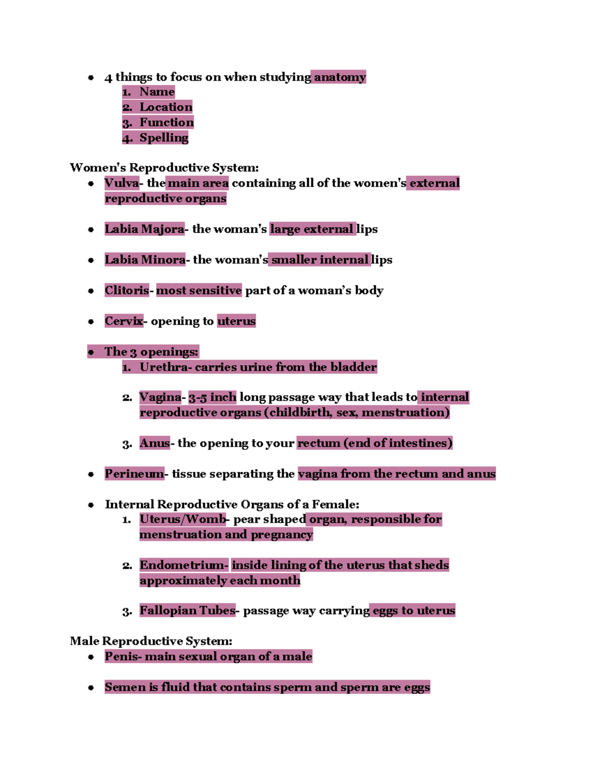 Anatomy Study Guide: Women's and Men's Reproductive Systems - Studocu