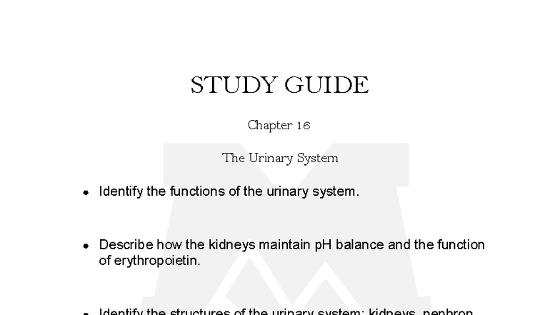 Chapter 16 Study Guide: The Urinary System Functions & Disorders - Studocu
