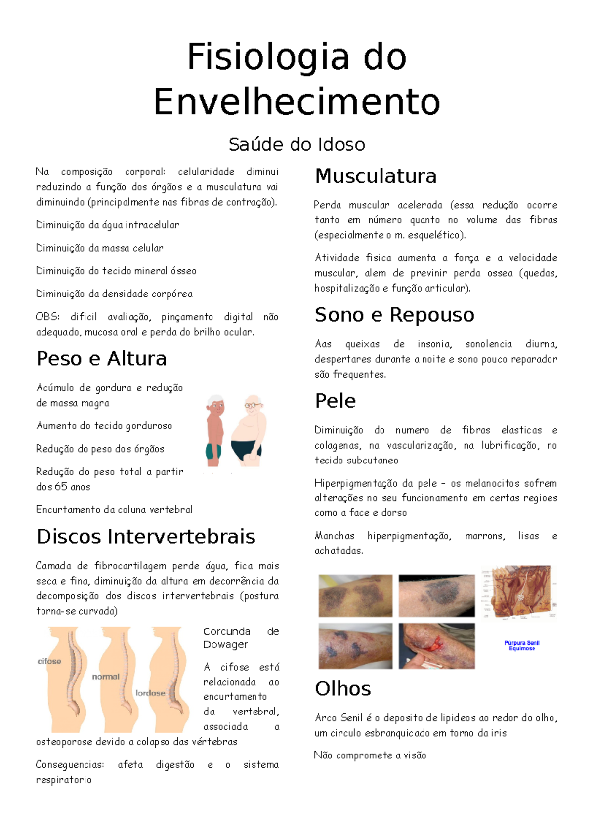fisiologia-do-envelhecimento-fisiologia-do-envelhecimento-sa-de-do