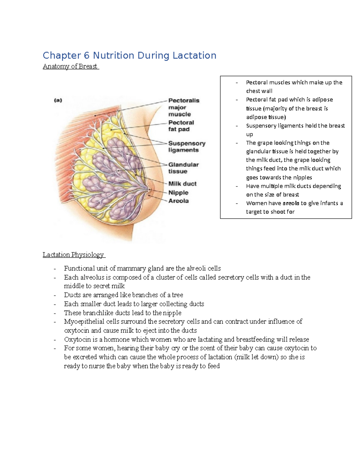 Chapter 6: Nutrition During Lactation - Key Concepts & Insights - Studocu