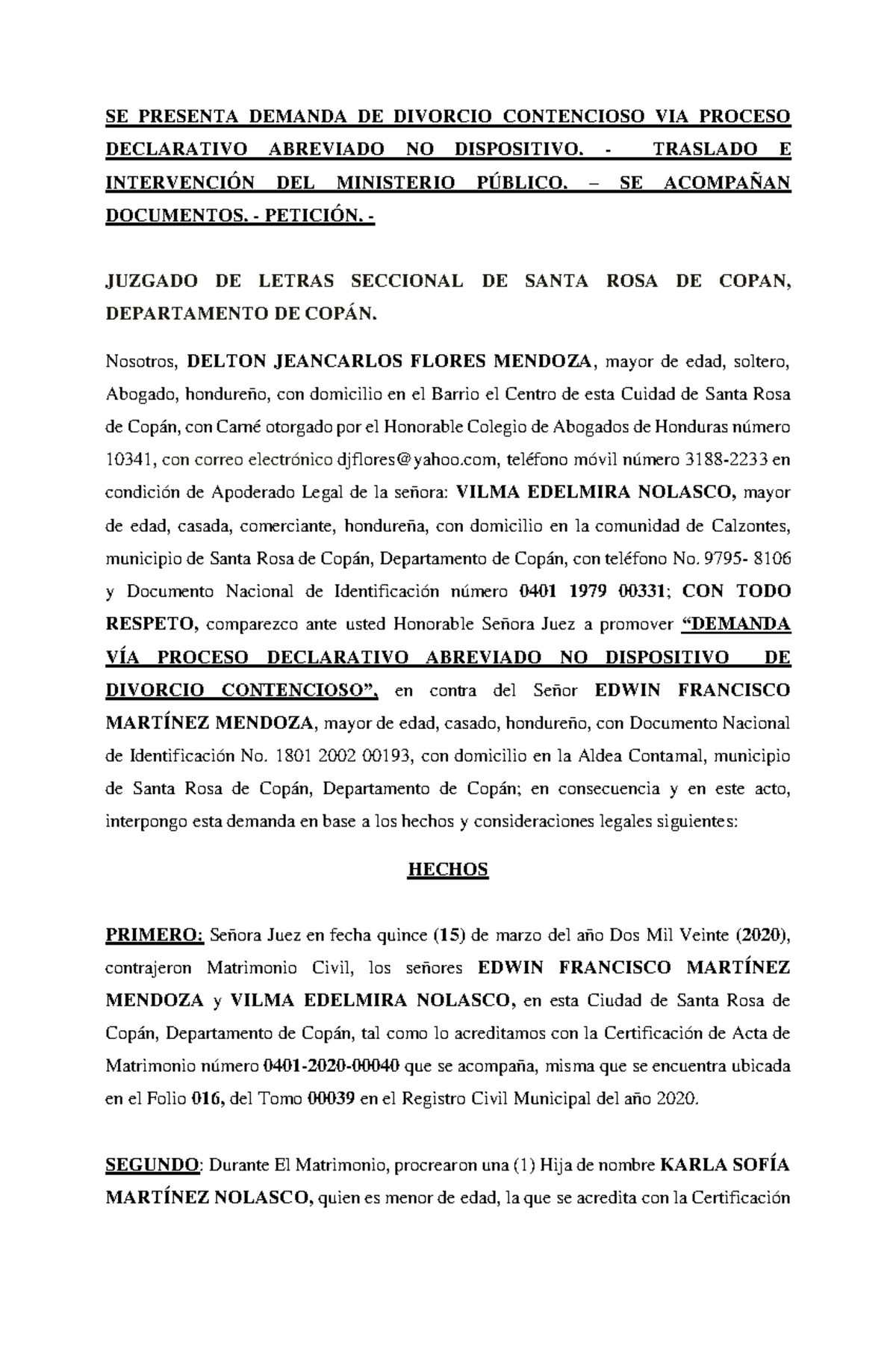 Demanda DE Divorcio Contencioso y Contestación (TGP) - Proceso Abreviado - Document Preview