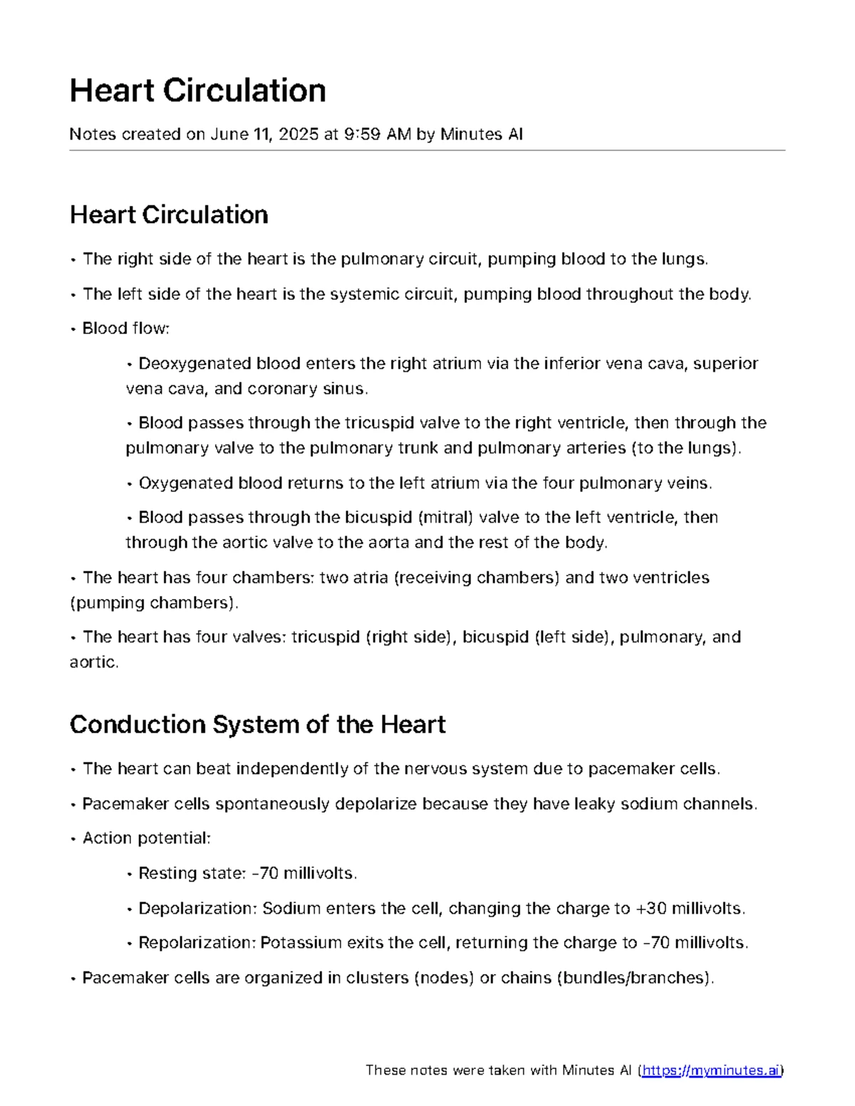 Heart Anatomy and Function: Key Concepts in Cardiac Physiology (AI ...