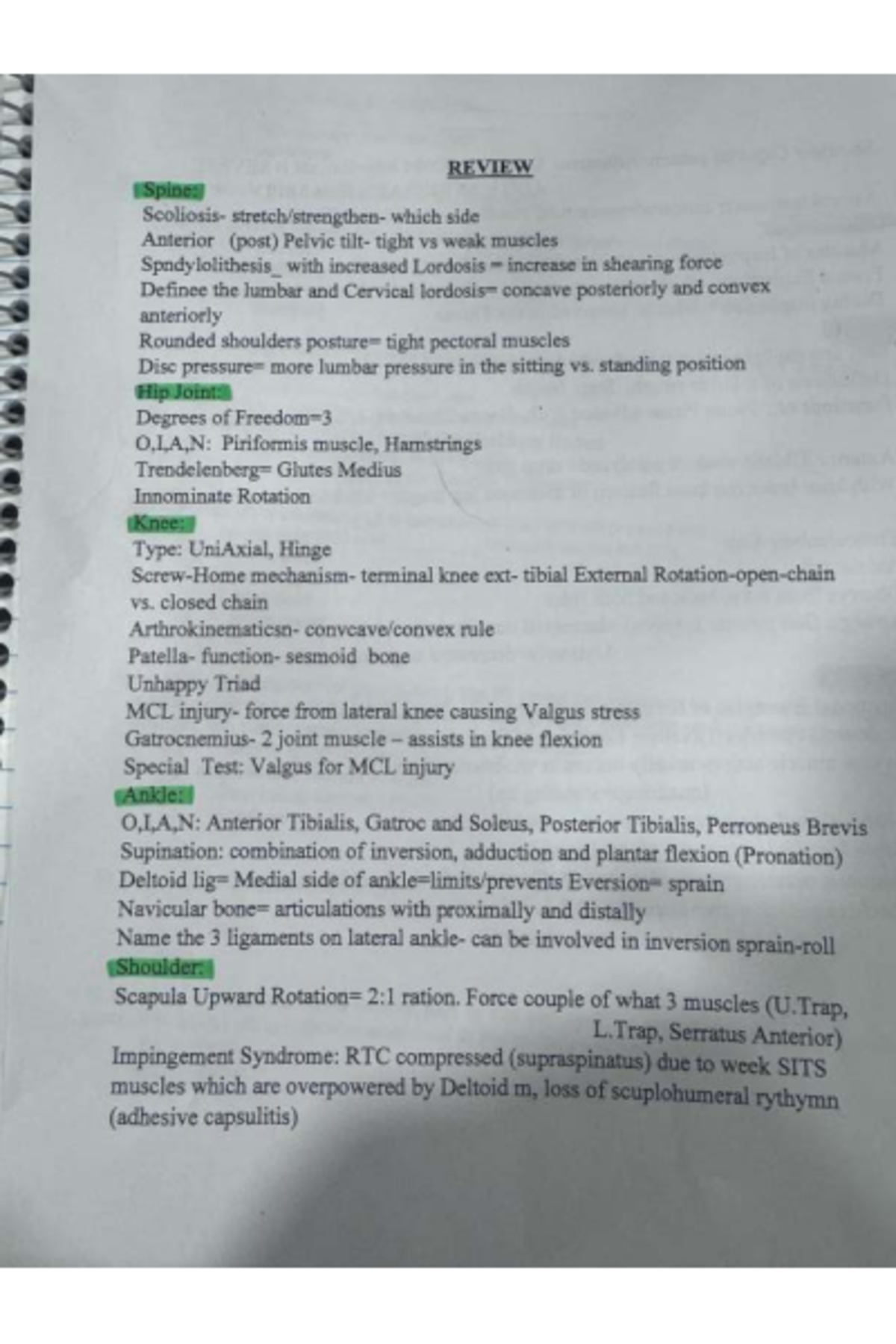 Final Exam Study Guide: Spine, Hip, Knee, Ankle, Shoulder Anatomy - Studocu