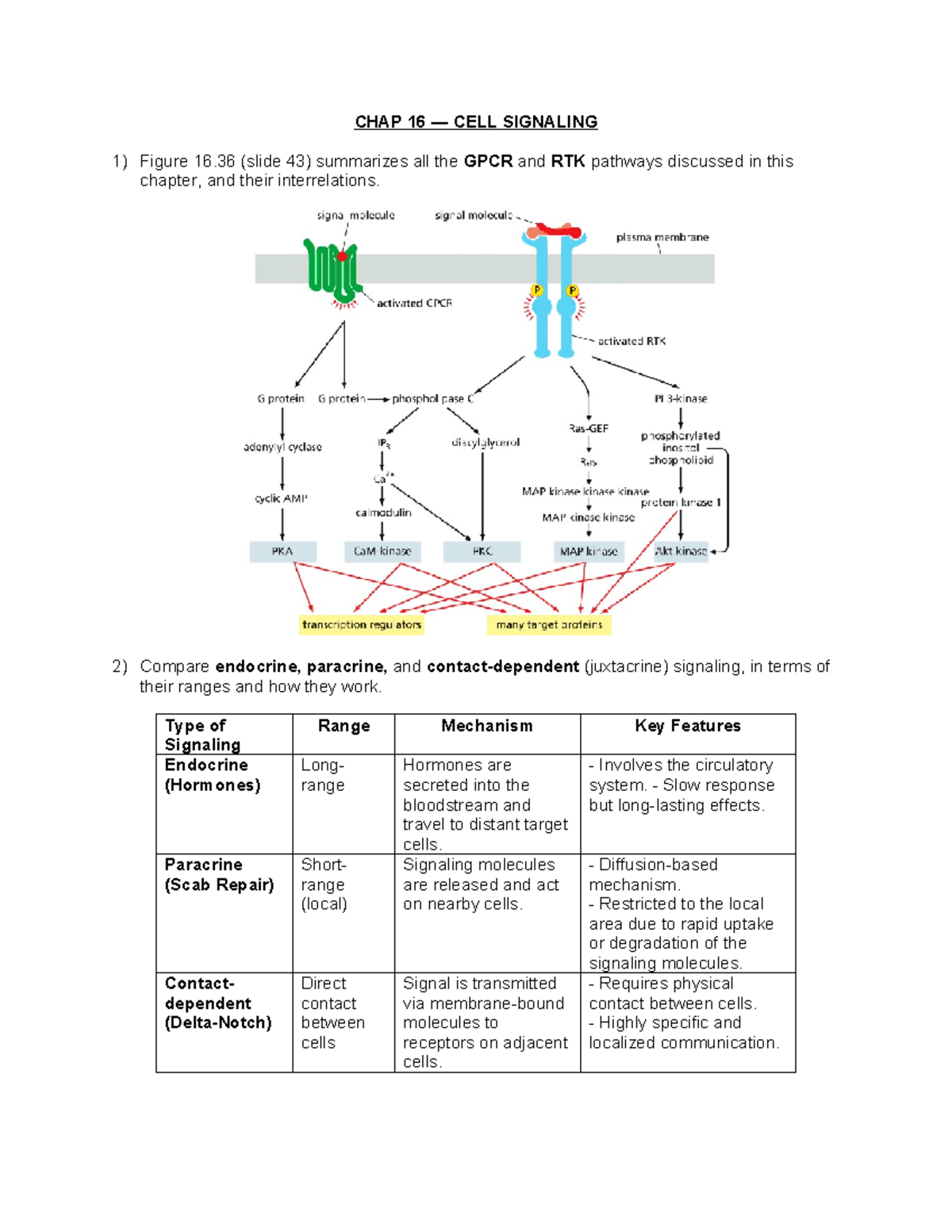 Cell Bio Test 4 Study Guide - CHAP 16 — CELL SIGNALING Figure 16 (slide ...