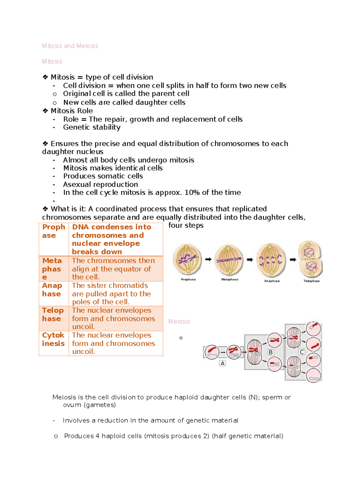 Mitosis and Meiosis: Key Concepts and Processes in Cell Division - Studocu