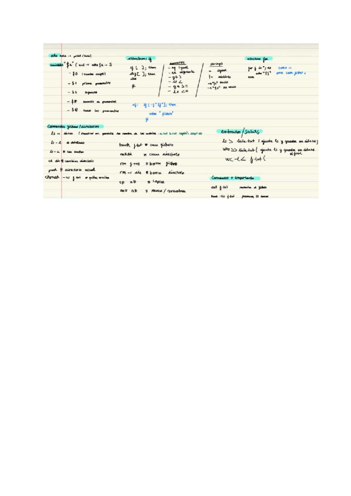 Linux Command Basics: Script and File Management Guide - Studocu